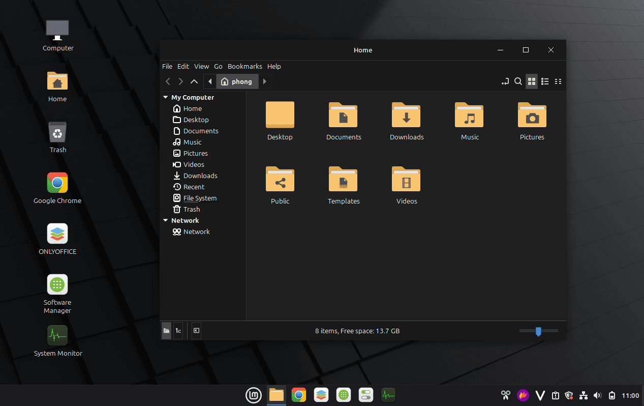 VnMint desktop showing its dark Cinnamon interface, essential app shortcuts, and file manager
